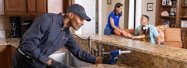 Best Termite Inspection and Treatment  in Bellaire, OH