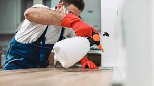 Best Pest Prevention Services  in Bellaire, OH